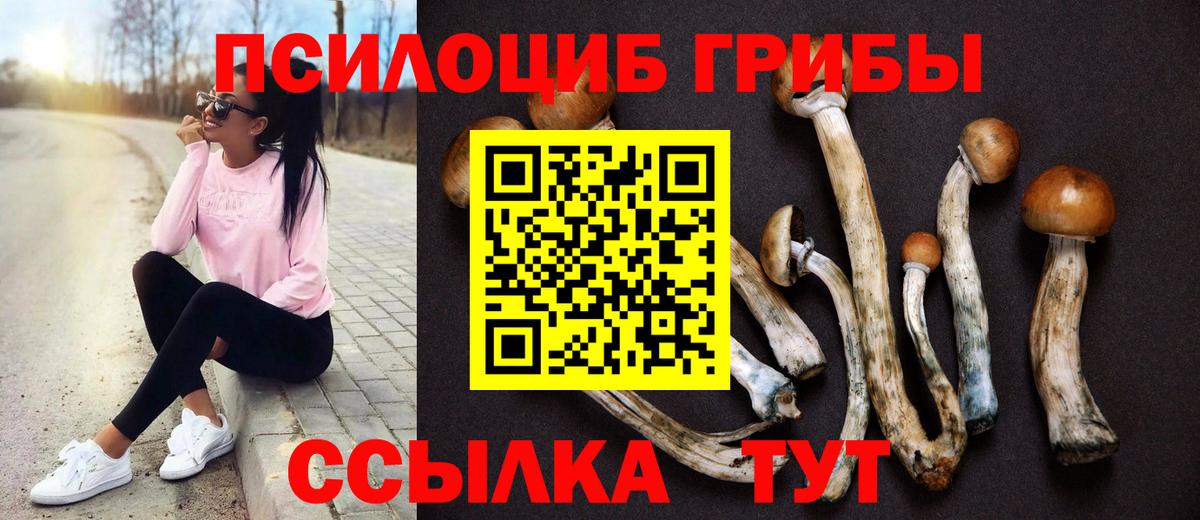 Псилоцибиновые грибы прущие грибы  Галлюциногенные грибы Cubensis  Вход с VPN  Кропоткин 